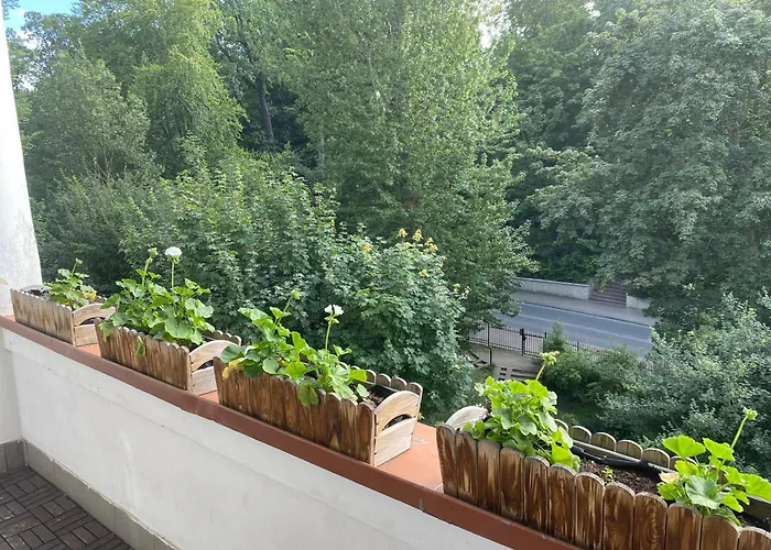 Mieszkanie W Kamienicy *